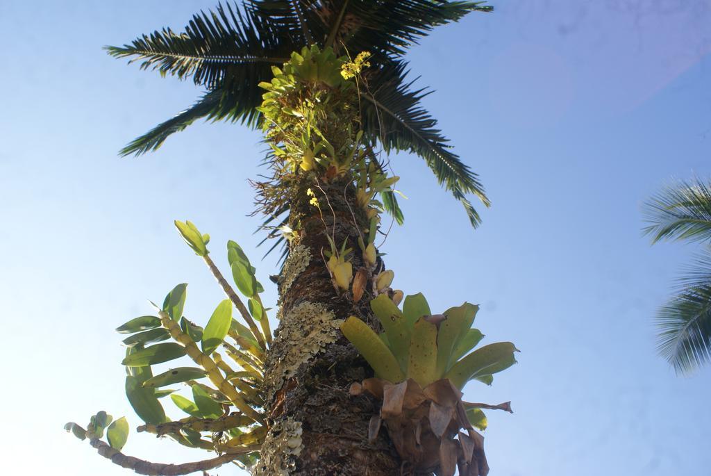 Pousada A Cor Do Sol Ubatuba Buitenkant foto